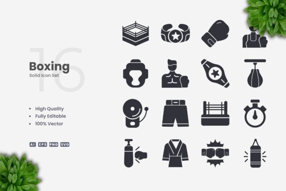 Boxing Solid Icons: Graphics and Icons for Digital Sellers